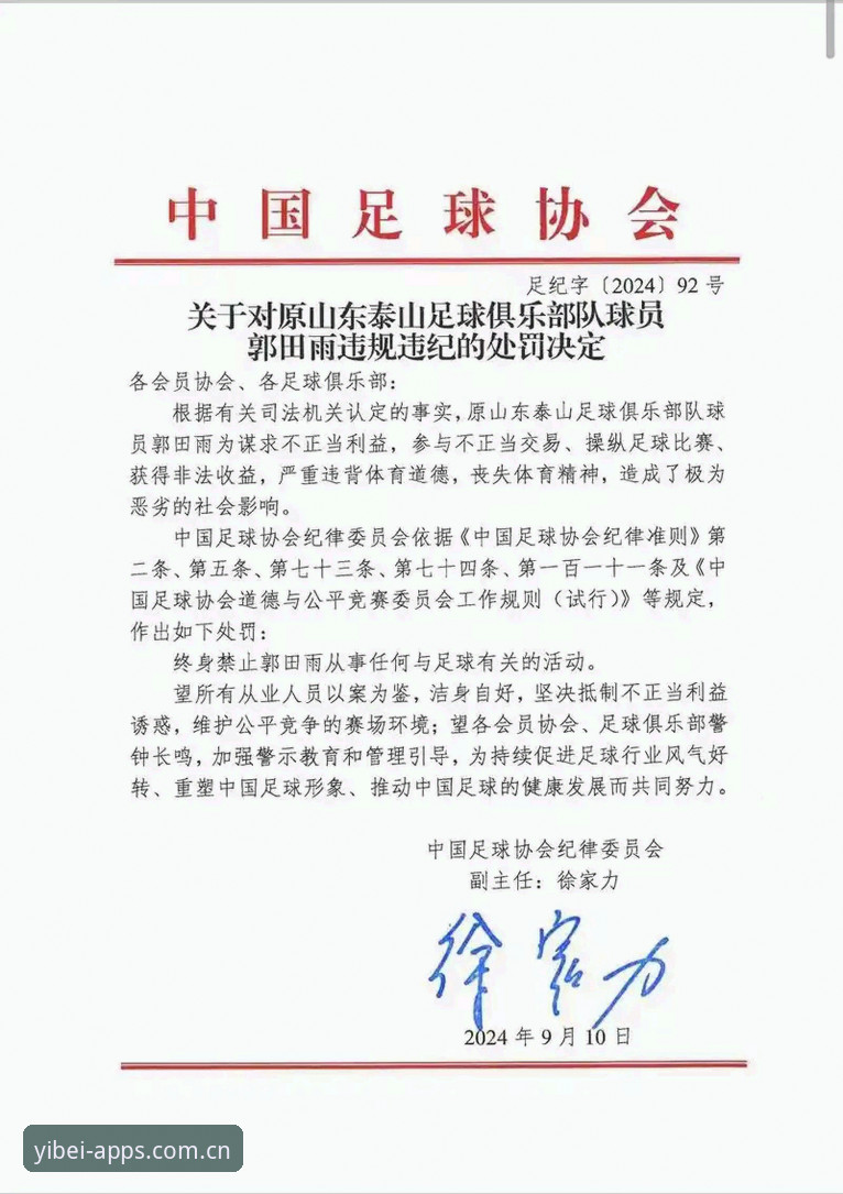 易倍体育高清直播 资深球迷分享:从足协第三批禁足名单看中国足球治理的深层逻辑